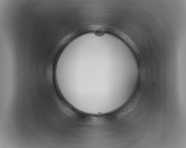 X0000111350442200907310955