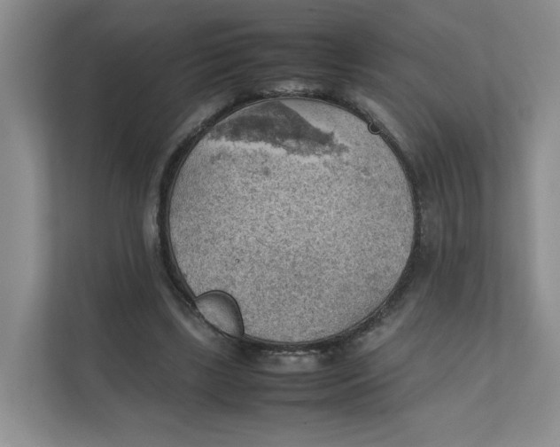 X0000111350443200907310955