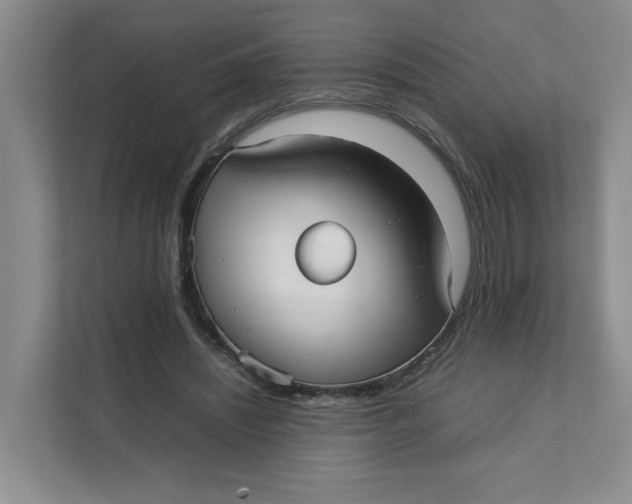 X0000111350444200907310955