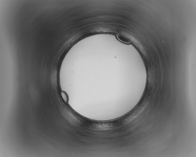 X0000111350445200907310955