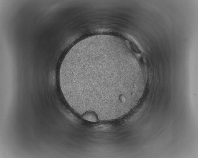 X0000111350447200907310955