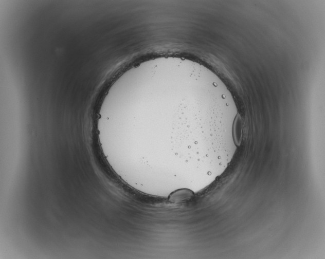 X0000111350448200907310955