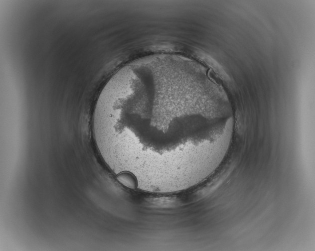 X0000111350449200907310955