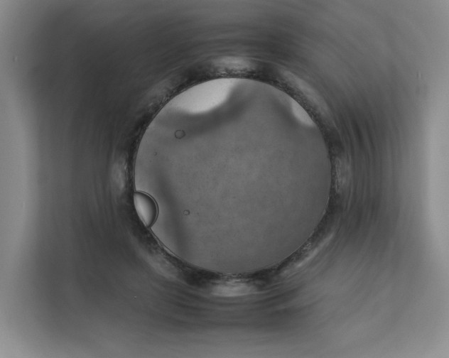 X0000111350451200907310955