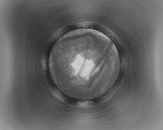 X0000111350452200907310955