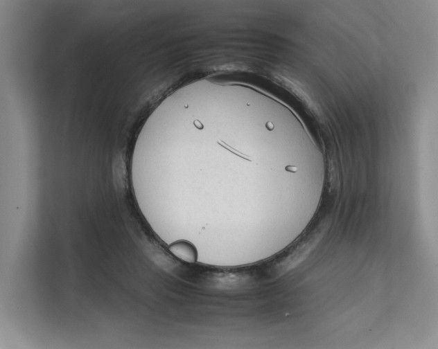 X0000111350453200907310955