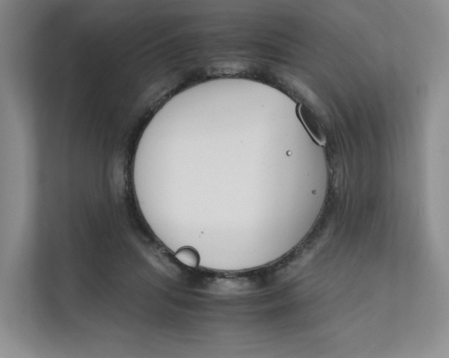 X0000111350455200907310955