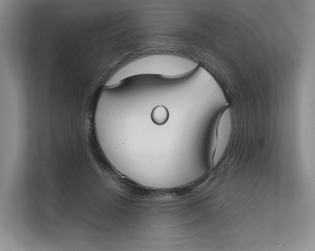 X0000111350456200907310955