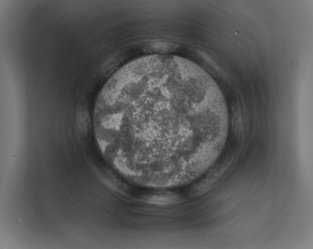 X0000111350459200907310955