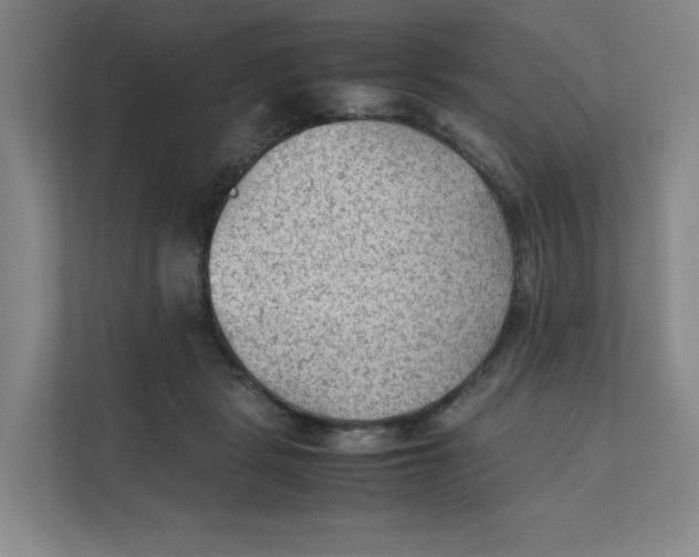 X0000111350461200907310955