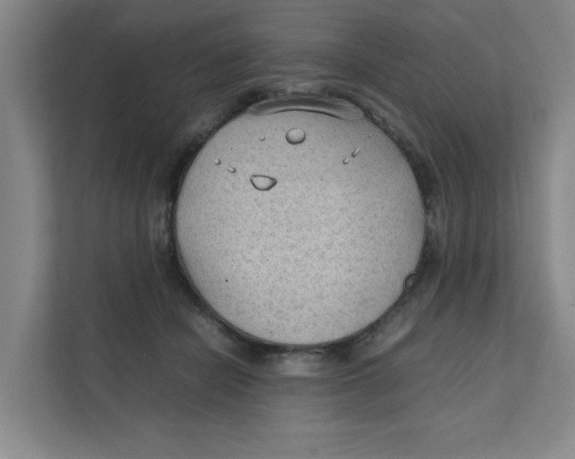 X0000111350462200907310955