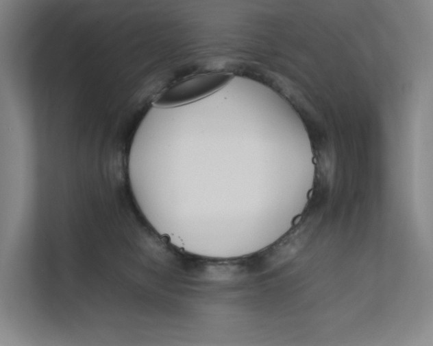 X0000111350470200907310955