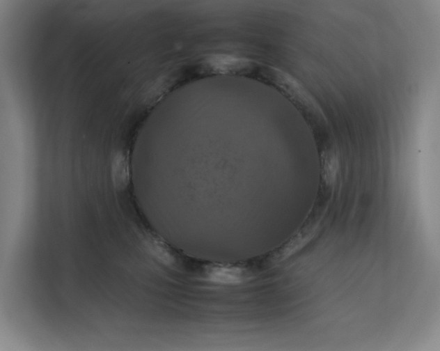 X0000111350471200907310956