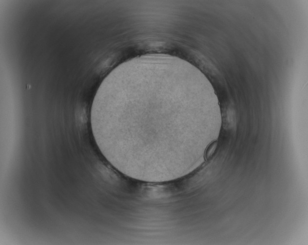 X0000111350472200907310956