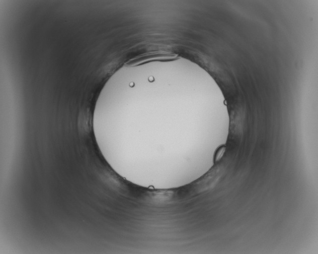 X0000111350474200907310956