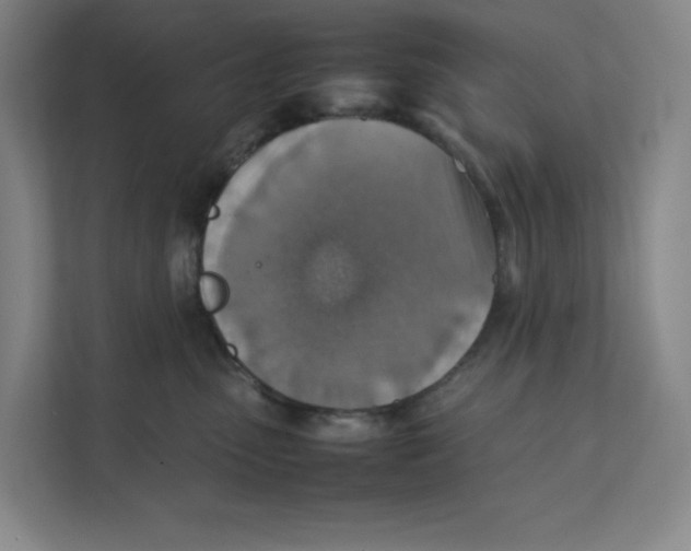 X0000111350475200907310956