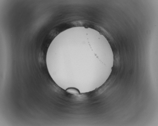 X0000111350477200907310956