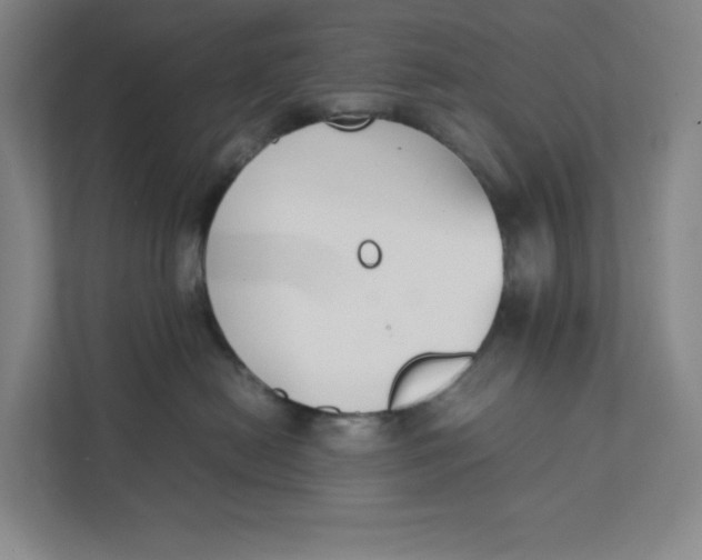 X0000111350478200907310956