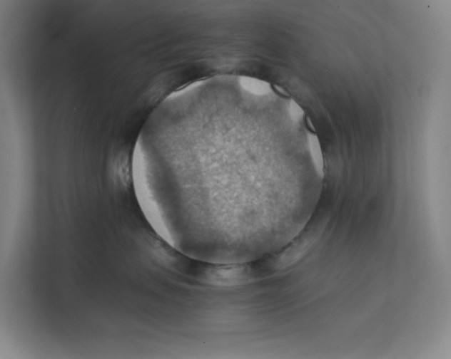 X0000111350479200907310956