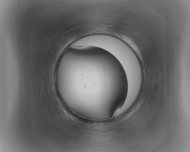 X0000111350481200907310955