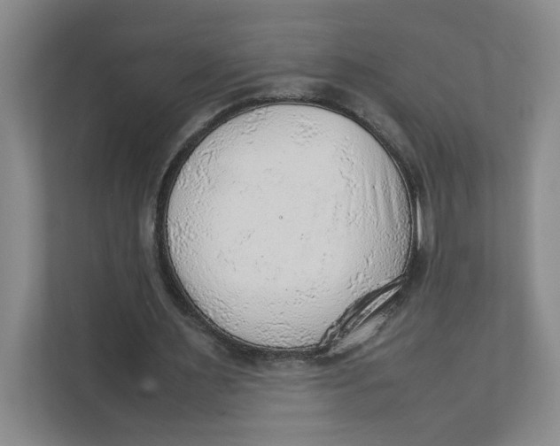 X0000111350483200907310955