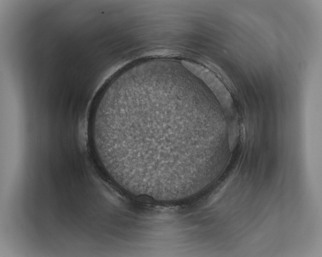 X0000111350484200907310955