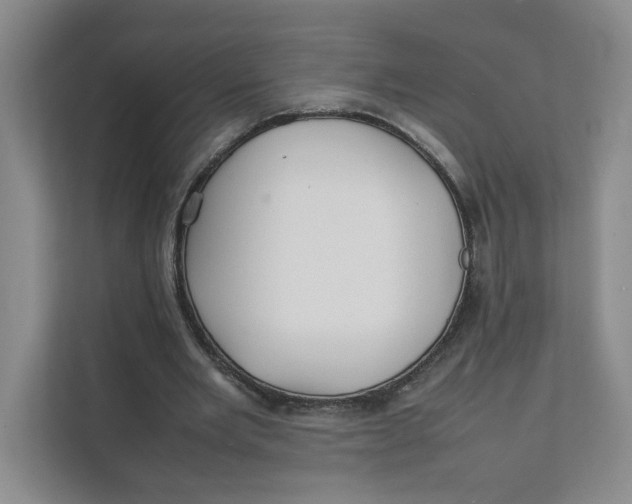 X0000111350485200907310955