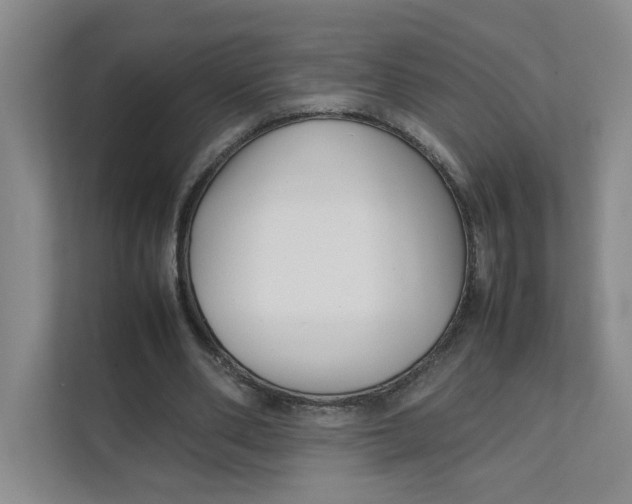 X0000111350486200907310955