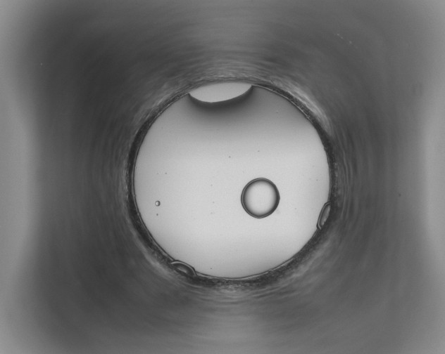 X0000111350489200907310955