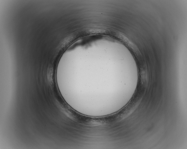 X0000111350490200907310955