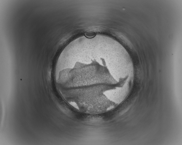 X0000111350491200907310955