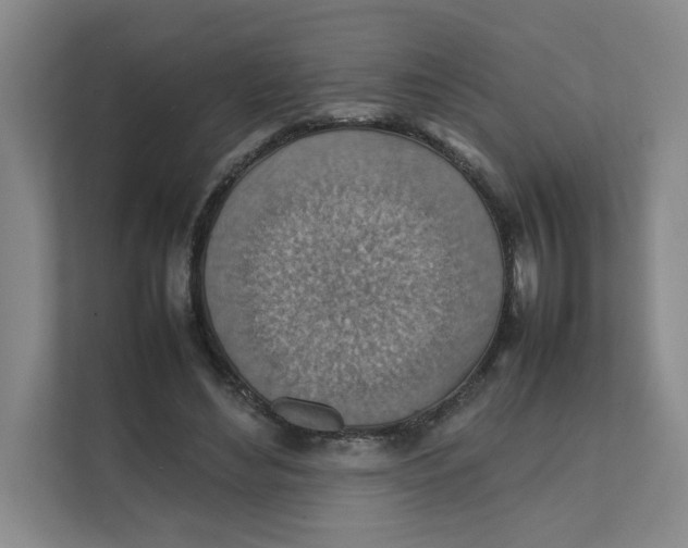 X0000111350492200907310955