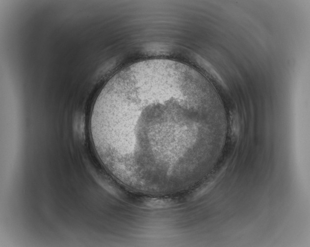 X0000111350494200907310955