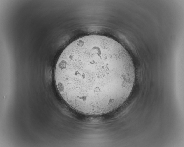 X0000111350495200907310955