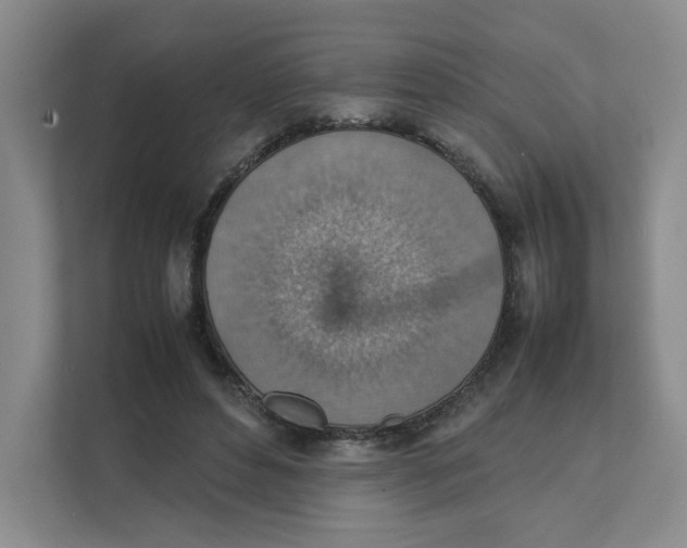 X0000111350496200907310955