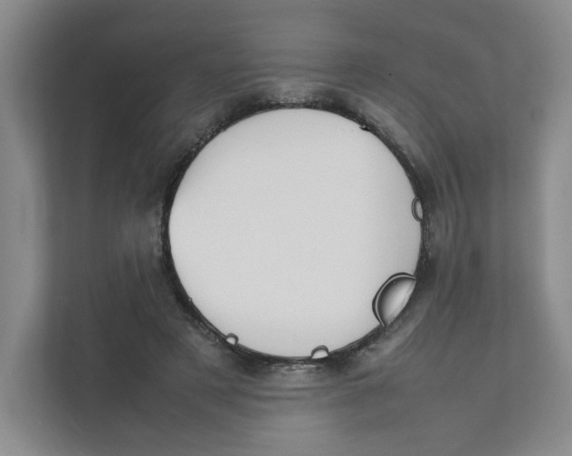 X0000111350497200907310955