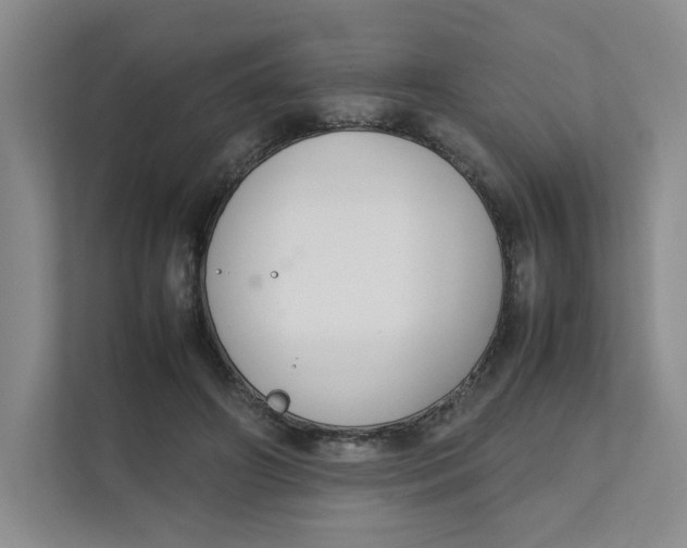 X0000111350498200907310955