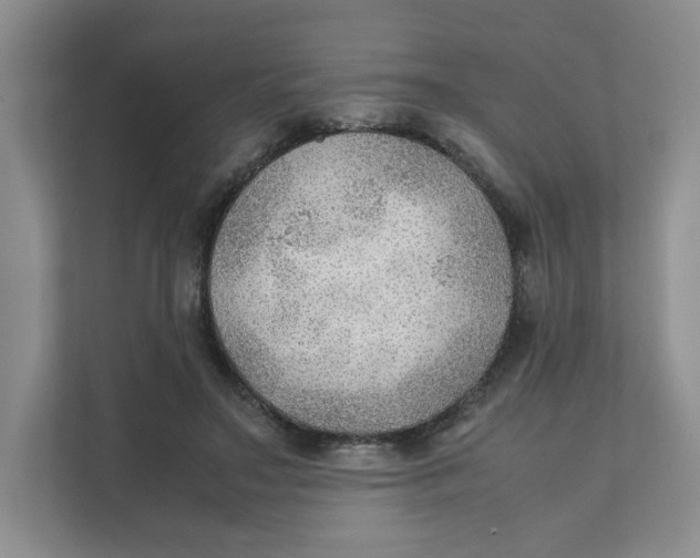 X0000111350499200907310955