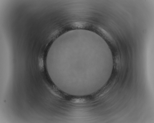 X0000111350500200907310955