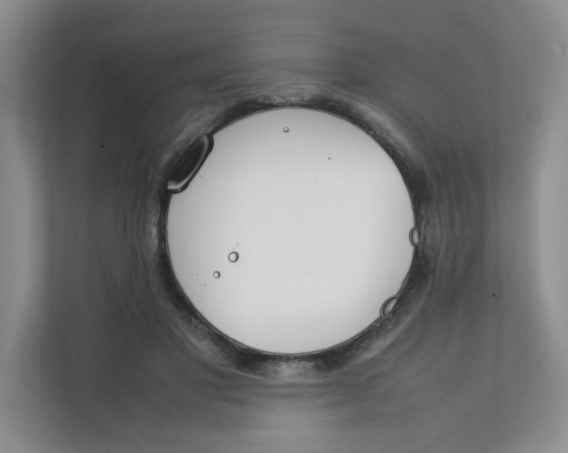 X0000111350501200907310955