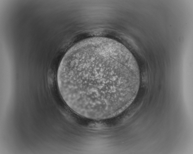 X0000111350503200907310955