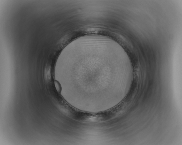 X0000111350504200907310955