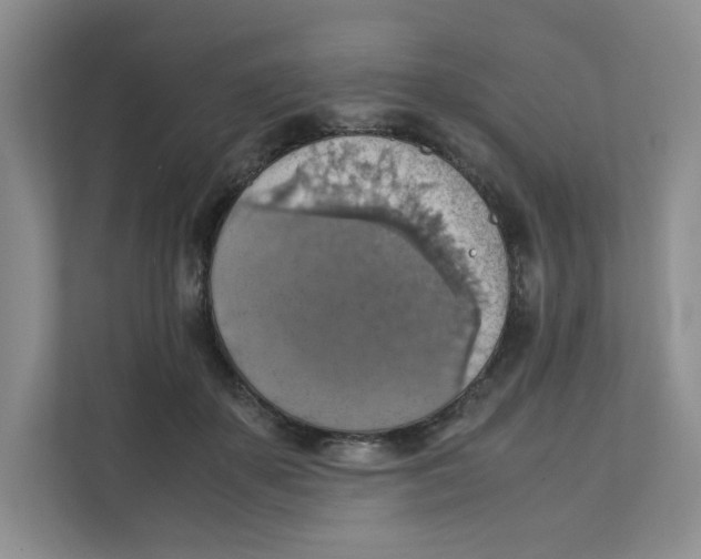 X0000111350507200907310955