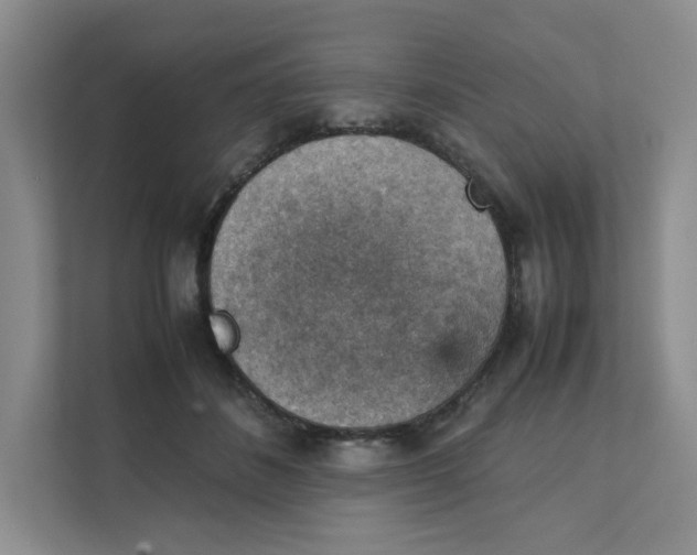 X0000111350508200907310955