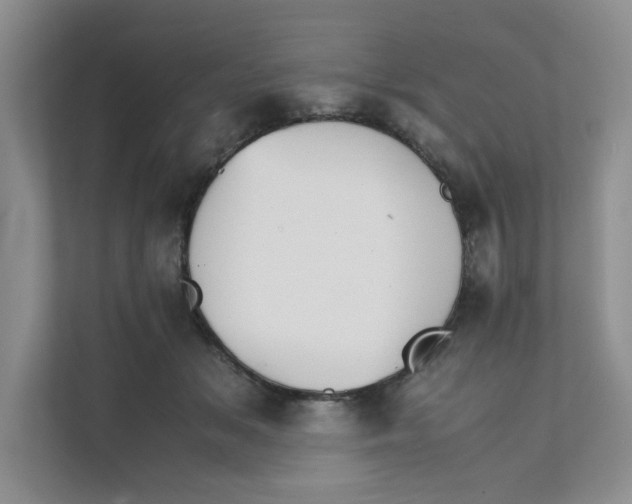 X0000111350509200907310955