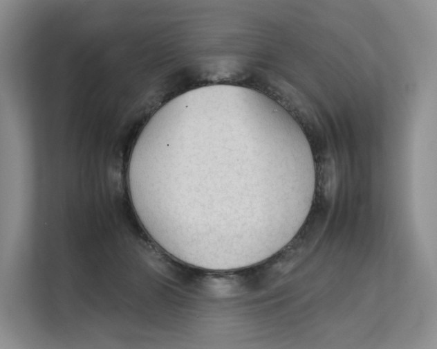 X0000111350510200907310955