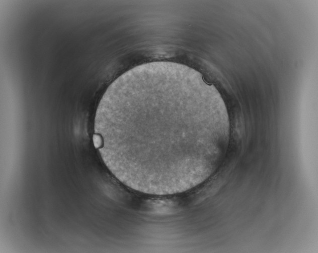 X0000111350512200907310955