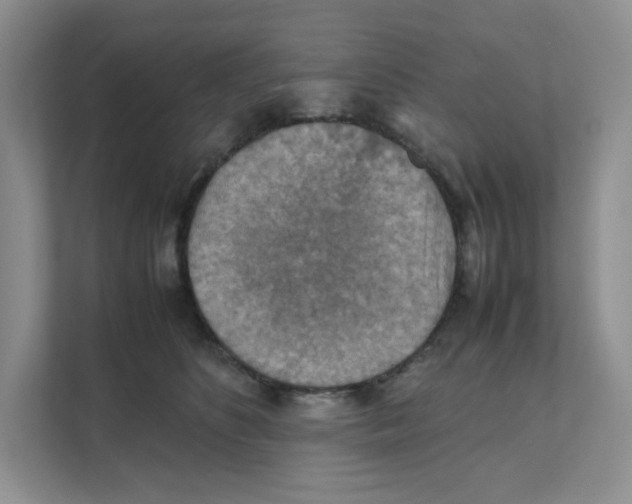 X0000111350516200907310955