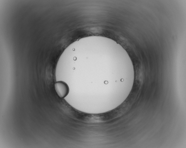 X0000111350518200907310955