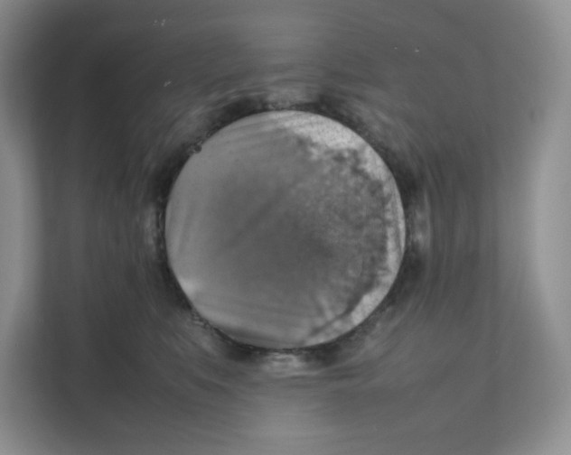 X0000111350519200907310955